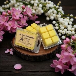 Soy Wax Melting Tarts Handcrafted Orchid & Vibe  100% Highest Quality Soy Wax